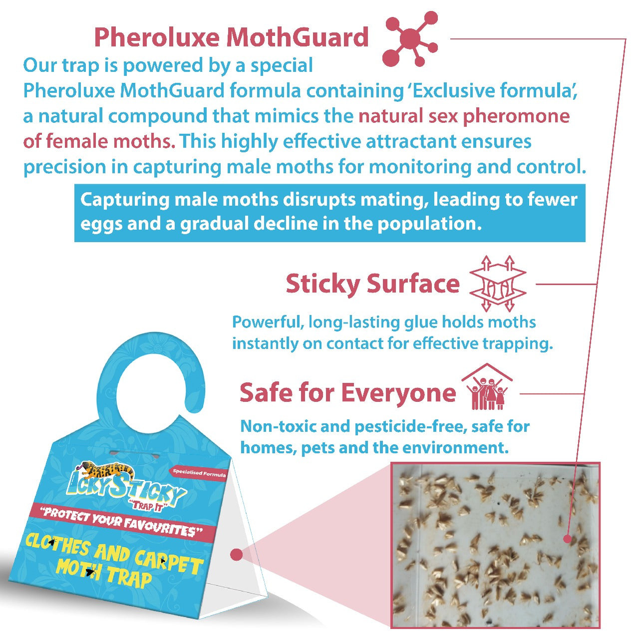 Icky Sticky Pheroluxe Moth Killer - 10 Premium Pheromone Moth Traps for Common Clothes, Carpet and Similar Moths with (6 Fruit Fly and Fungus Gnat Traps) | Non-Toxic for Wardrobes, Fabrics & Carpet |