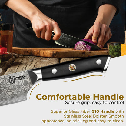 DWELLUXE Damascus Chef Knife Set - 8" Japanese VG-10 High Carbon Steel Professional 67-Layers Damascus Kitchen Knife with G10 Handle, 3-in-1 Sharpener, Multi-Use Kitchen Scissor & 304 Finger Protector