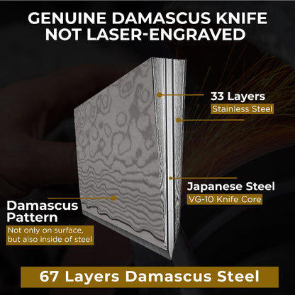 DWELLUXE Damascus Chef Knife Set - 8" Japanese VG-10 High Carbon Steel Professional 67-Layers Damascus Kitchen Knife with G10 Handle, 3-in-1 Sharpener, Multi-Use Kitchen Scissor & 304 Finger Protector