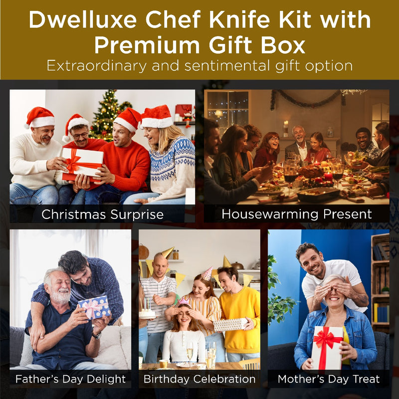 DWELLUXE Damascus Chef Knife Set - 8" Japanese VG-10 High Carbon Steel Professional 67-Layers Damascus Kitchen Knife with G10 Handle, 3-in-1 Sharpener, Multi-Use Kitchen Scissor & 304 Finger Protector